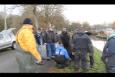 IMG 9446