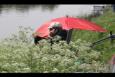 IMG 9501