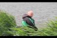 IMG 9587
