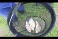 IMG 9598