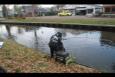 IMG 9650