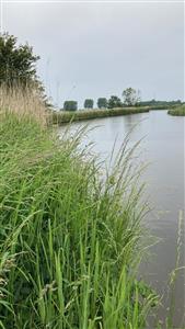 Hunsingo kanaal